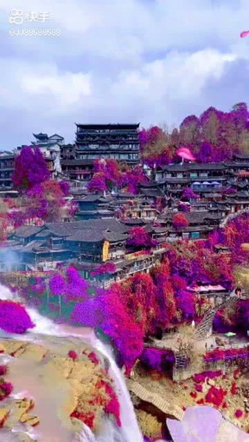时尚红人莎莉