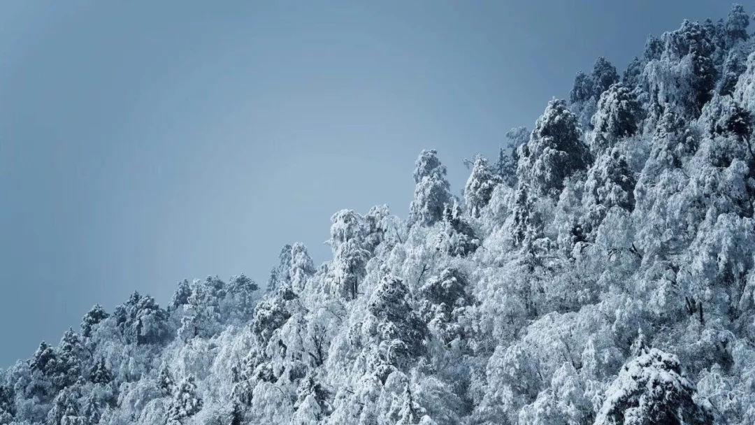 悬崖跳水运动