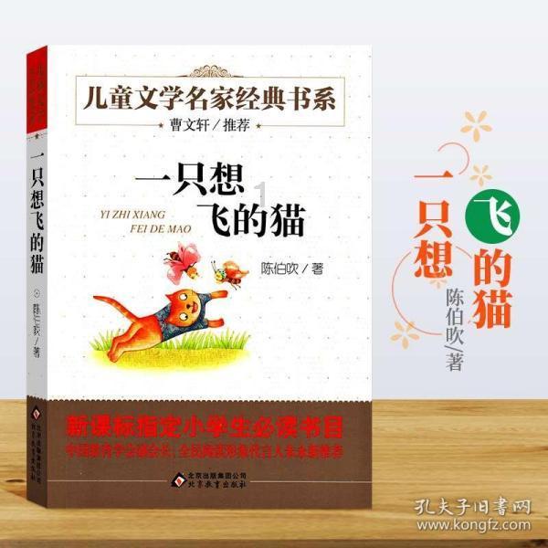 南阳一学校火灾致13人遇难 7名相关责任人员被控制