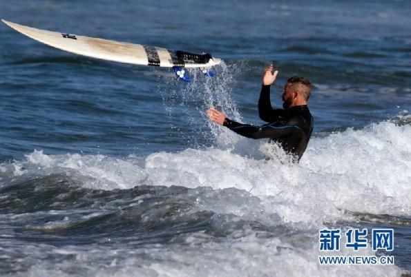 动物滑动拼图
