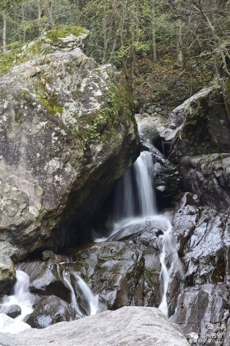 钟山县大力发展现代特色农业