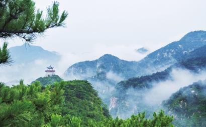 伤员被转运至医院 接线人员：伤者都比较年轻 均在急诊室救治